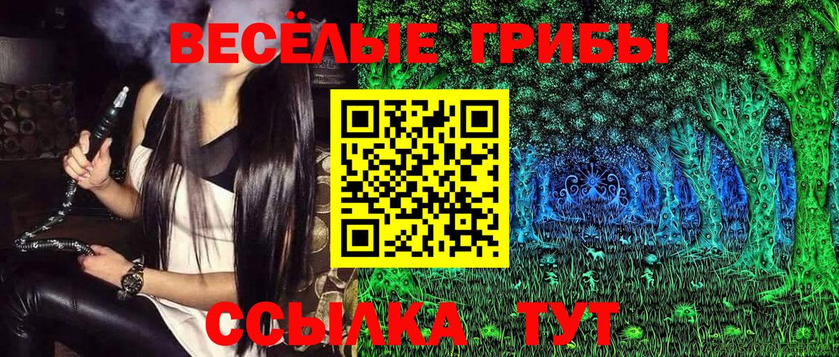 Галлюциногенные грибы прущие грибы Шебекино