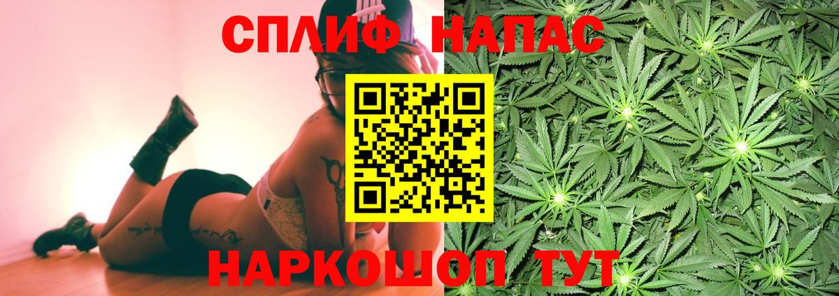 Бошки марихуана план  Бошки марихуана марихуана  Вход с VPN  Шишки марихуана VHQ  Шебекино 
